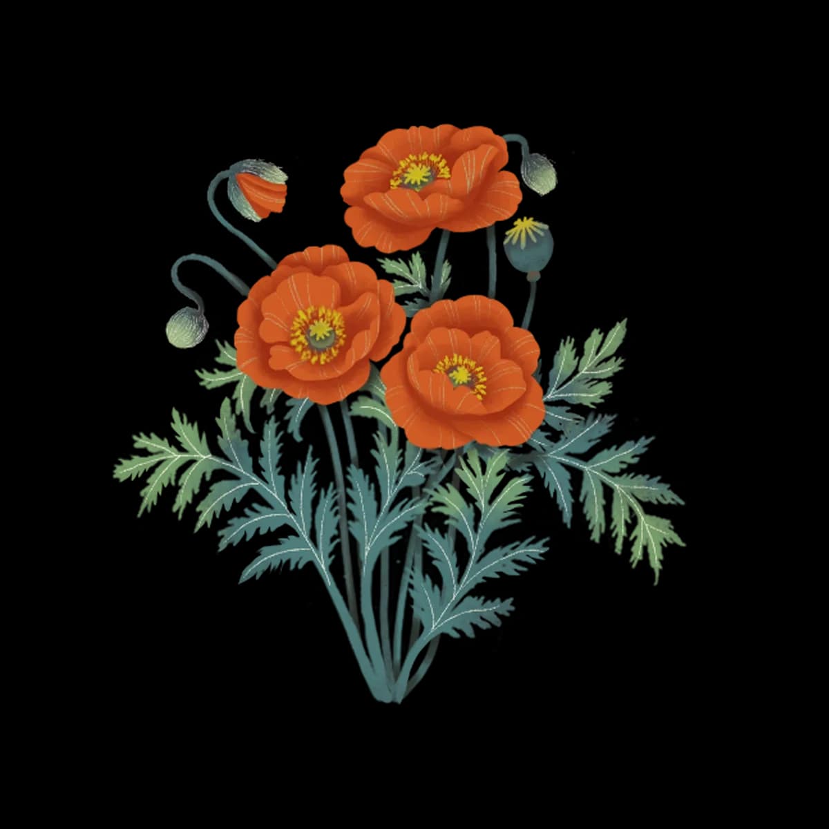 Poppy